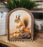 Arch Top Fall Squirrel Framed Art
