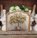 Provincial Lemon Tree Framed Art