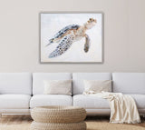 TRANQUIL TURTLE, 32X40 EMBELLISHED FRAMED CANVAS WALL ART